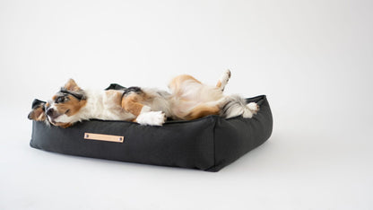 Hundeseng Töve, antracitgrå – billede 2