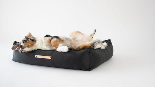 Hundeseng Töve, antracitgrå – billede 2